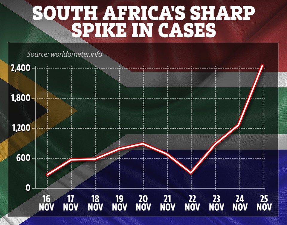 How South Africa's Covid cases dramatically increased