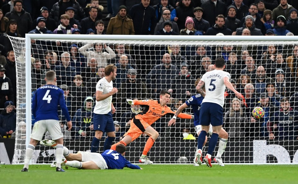 Pierre-Emile Hojbjerg grabbed Spurs first Premier League goal since October 17