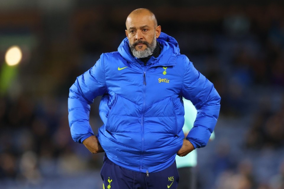 Nuno Espirito Santo was sacked after just ten league games in charge of Tottenham