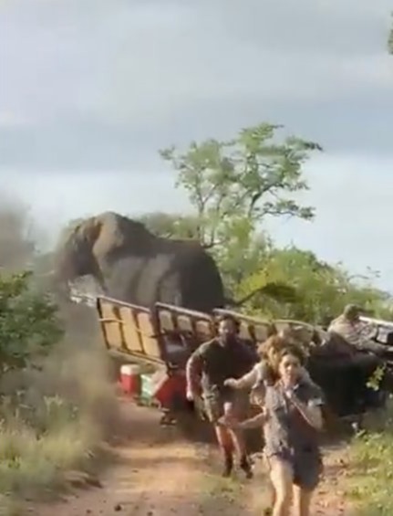 The students and tourists flee for their lives