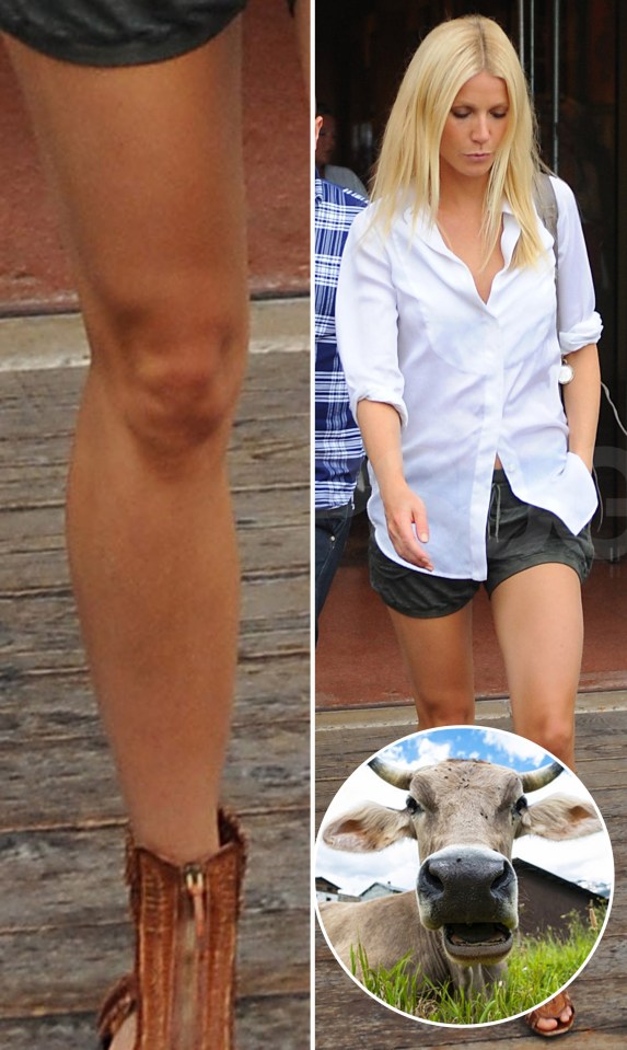 Gwyneth Paltrow could moo-nlight as a cow