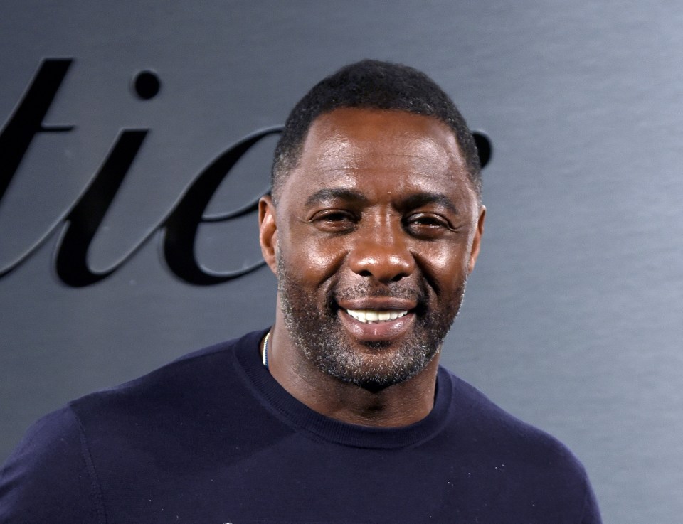 Idris Elba is in talks to star in the next James Bond film – but as a VILLAIN not 007