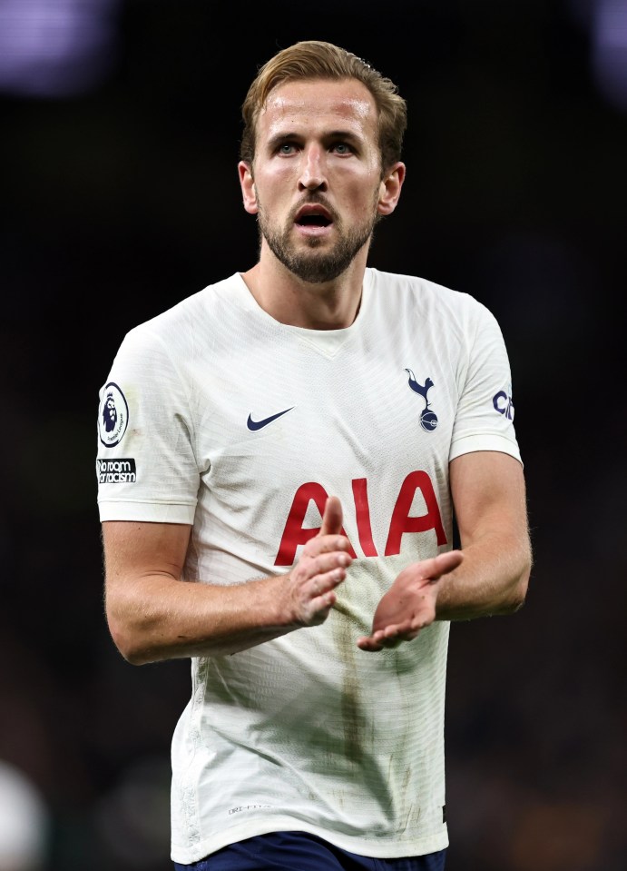 The Premier League said: 'The health and well-being of all remains our priority and the league will continue to monitor and reflect public health guidance, always proceeding with caution' - pictured Harry Kane