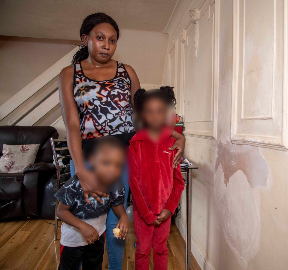 The mum desperately wants somewhere 'safe' for her children to live