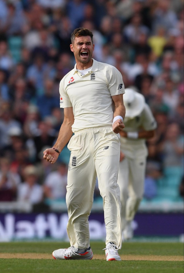 James Anderson is one of the all-time great Test bowlers - but Pat Cummins is still seeking his advice