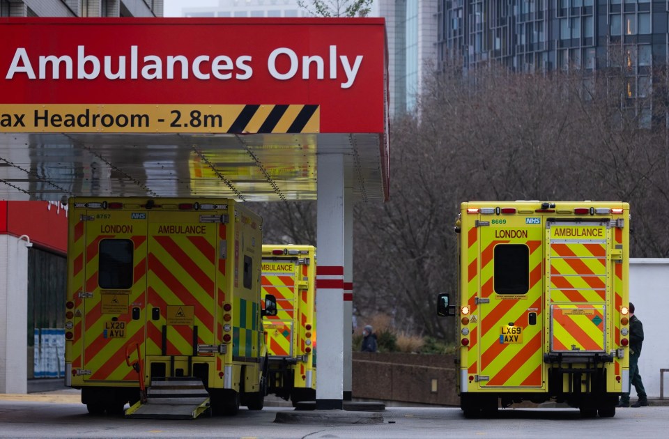 Ambulances belonging to the London Ambulance Service seen outside St Thomas' Hospital in London, December 19