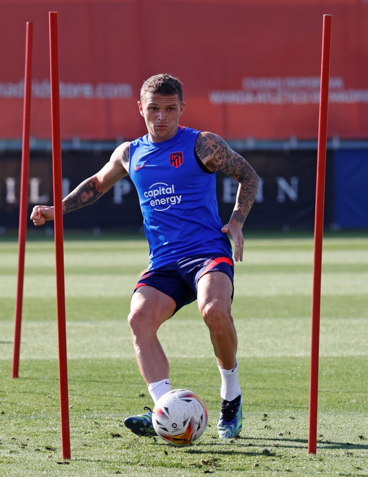 Kieran Trippier would add a wealth of experience to Newcastle