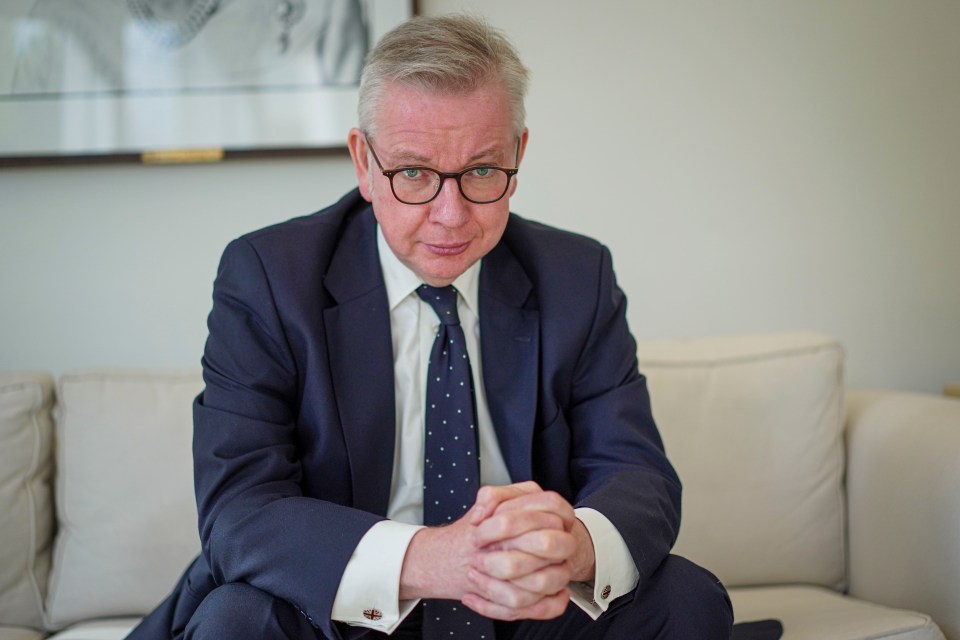 Levelling Up boss Michael Gove also backed tougher measures