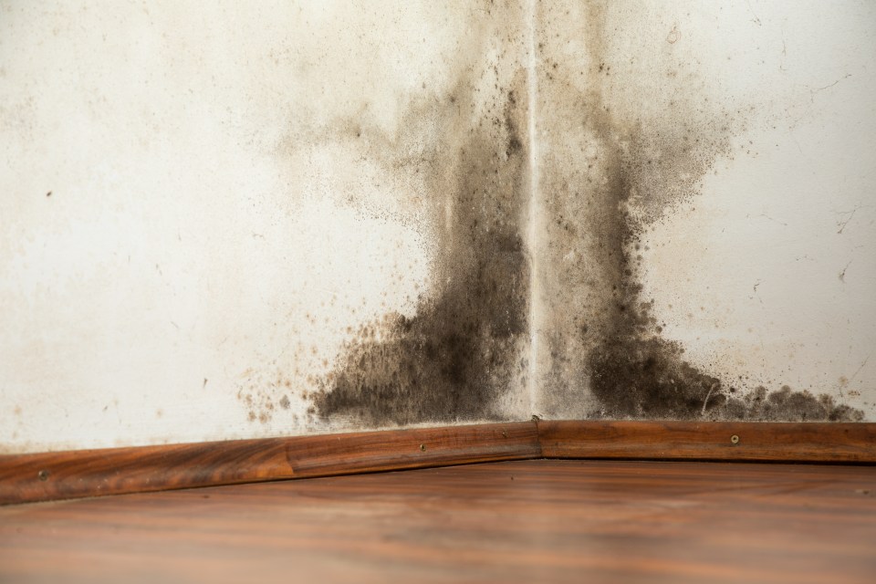 Mould could be caused by heating your home