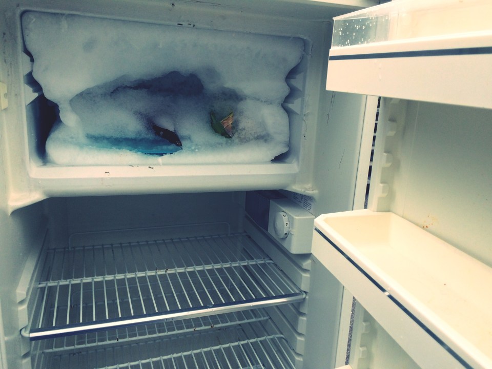 If you don't defrost the freezer compartment it could add as much as £150 a year onto your energy bill