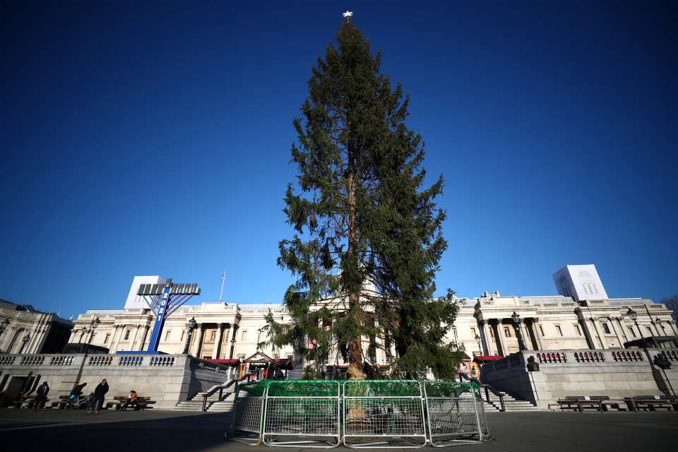 The Trafalgar Square Christmas tree has received a mixed reception