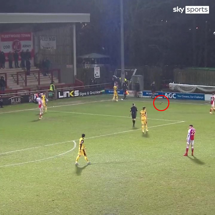 The bird waddled around in the corner of the pitch as the rain poured down in Lancashire