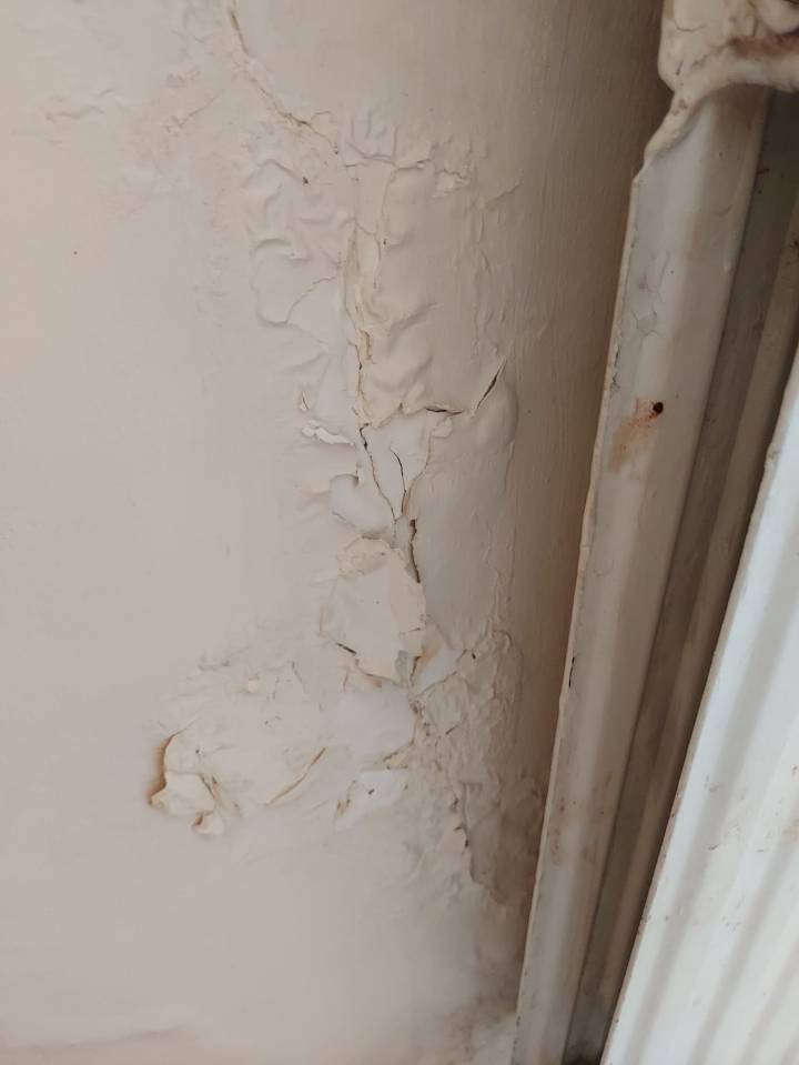 Paint can be seen peeling off one of the flat's walls