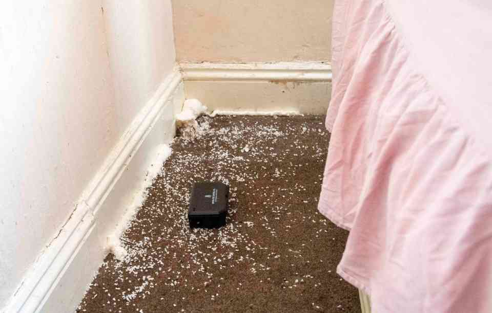 A white foam has been sprayed around the skirting board to prevent mice creeping in through holes