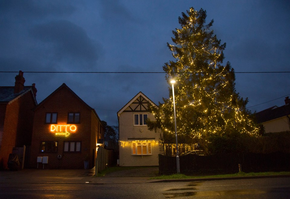 Tom Durrant created a sign outside his home saying 'DITTO', with an arrow pointing to the tree