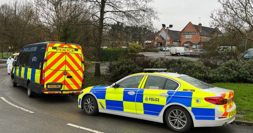 Police were called  to The Gypsy Queen Pub in Sheffield around 10pm yesterday