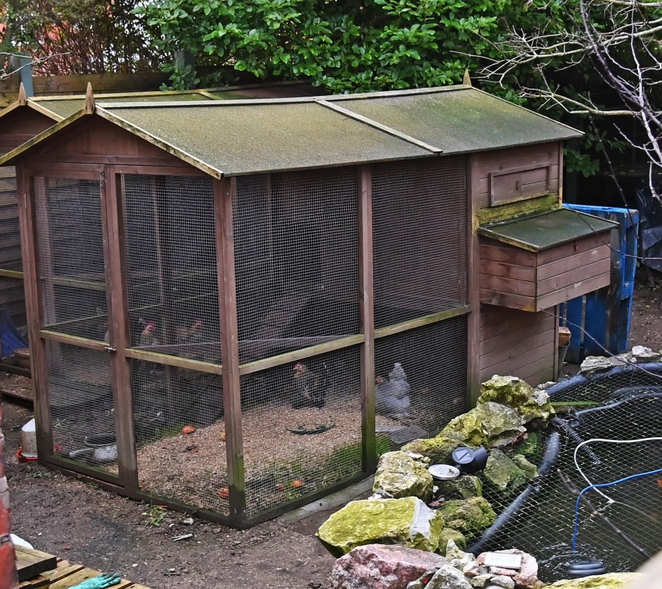 Neighbours claim the birds have made their lives 'a nightmare'