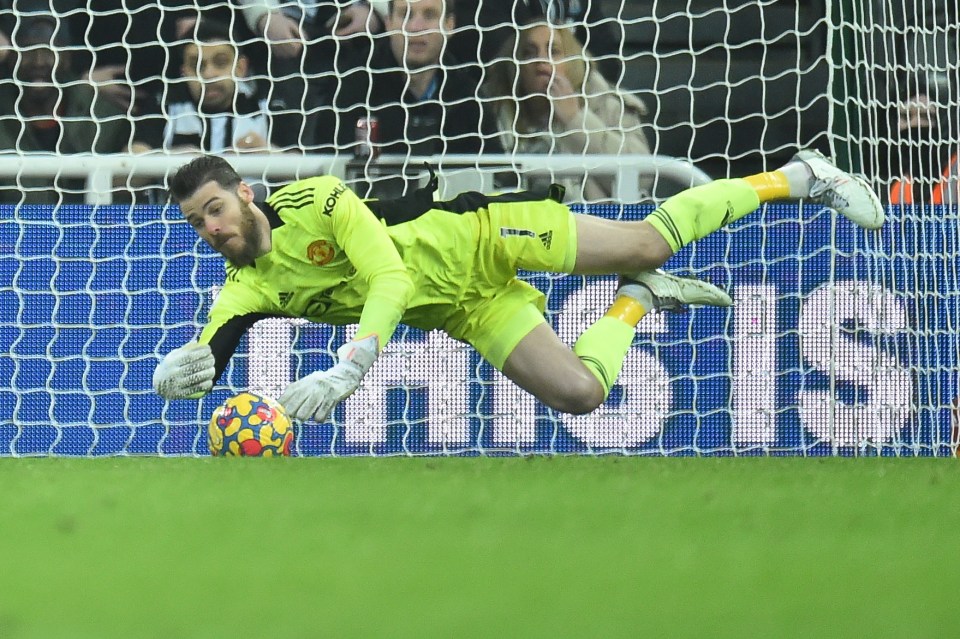 David de Gea had a blinder against Newcastle on Monday