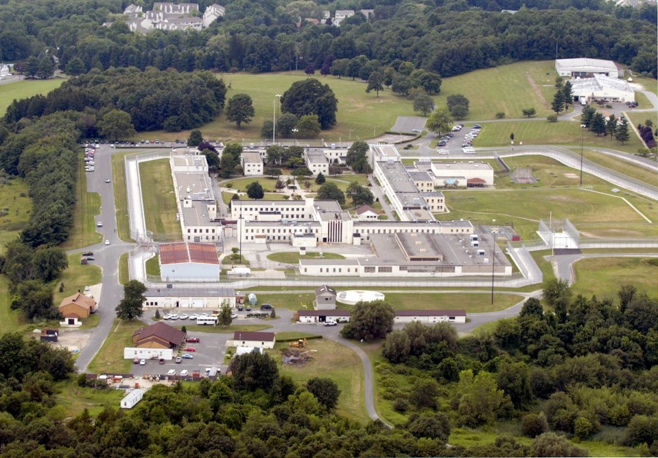 The 60-year-old could be sent to the Federal Correctional Institute in Danbury, Connecticut – which expert say will feel like ‘Disneyland’ compared to her current jail