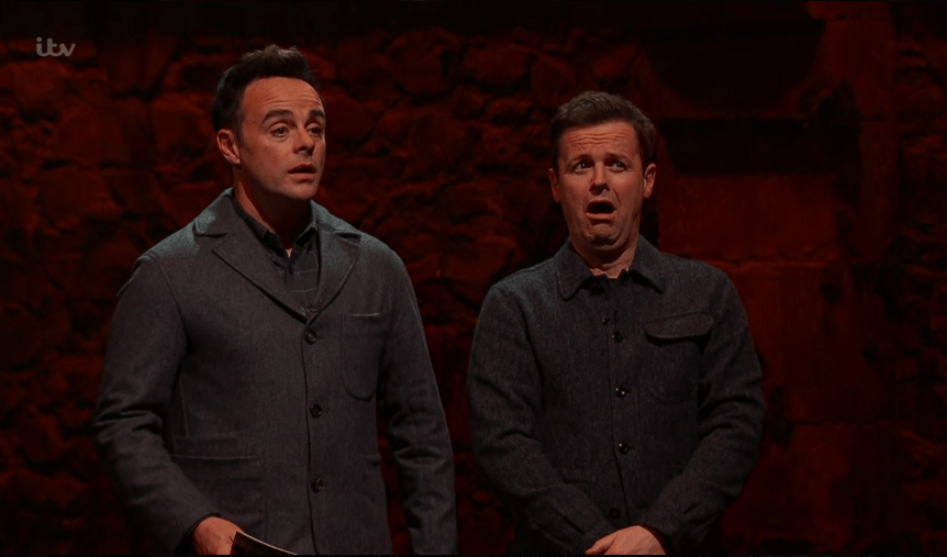 Ant and Dec looked terrified as Danny's helmet was filled with bugs