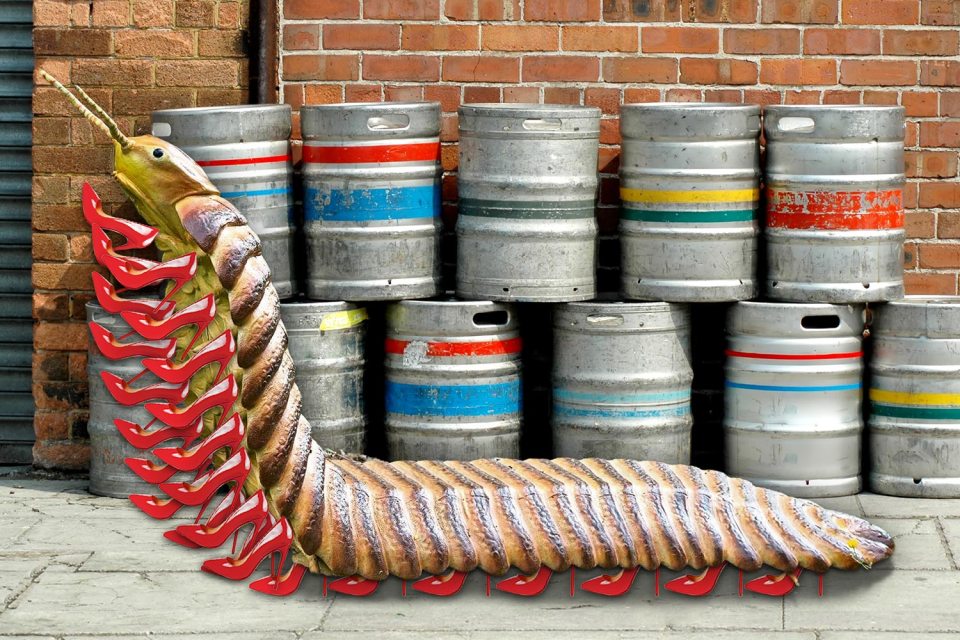 Giant millipedes the length of a car used to roam the North East of England, apparently