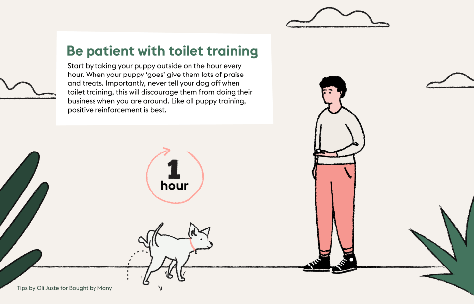 Try to understand your dogs queues and signals they need to go to the loo