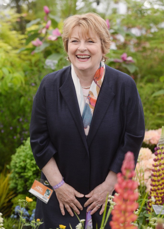  Brenda Blethyn is an actress and national treasure