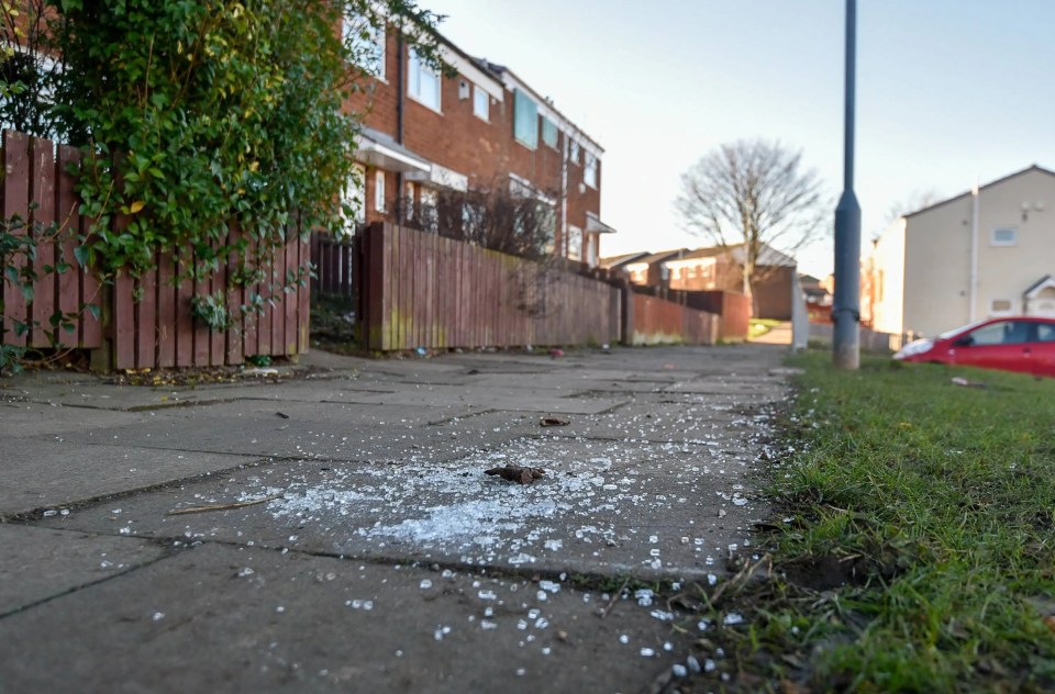 Gangs of youths are said to be making residents' lives miserable