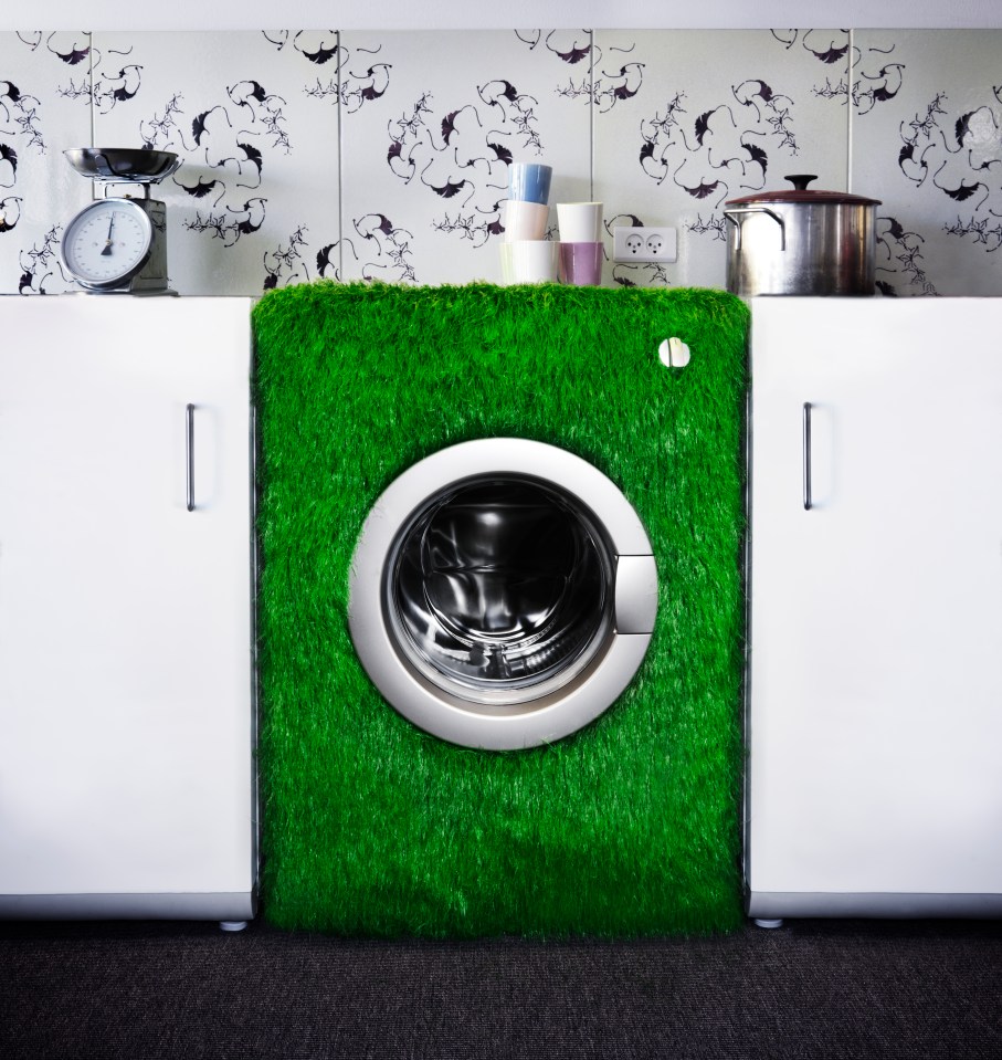 Look out for eco-friendly models when buying new appliances