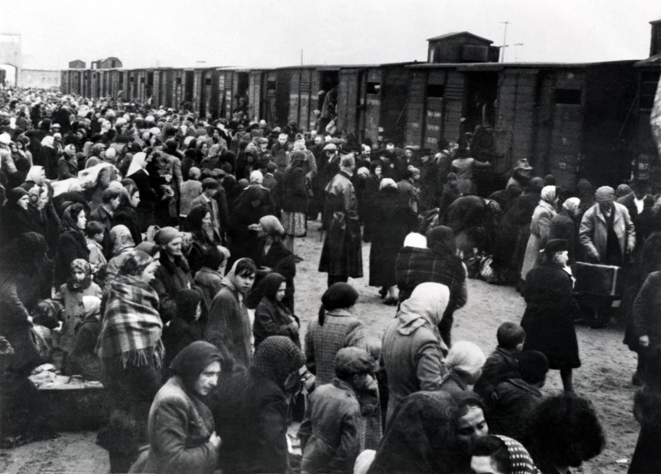 Jews arriving at Auschwitz, where Ilse's family were killed