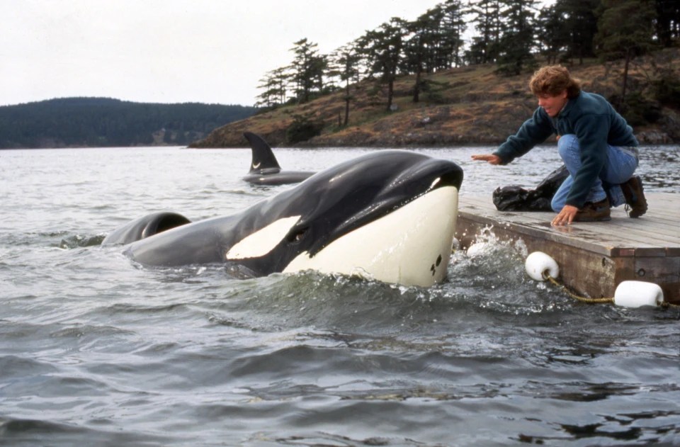 Jason starred as Jesse in three Free Willy films