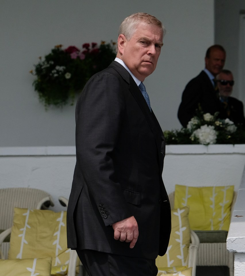 Prince Andrew was rocked by claims he could be stripped of his Duke of York title if he loses a lawsuit brought by sex abuse accuser Virginia Giuffre