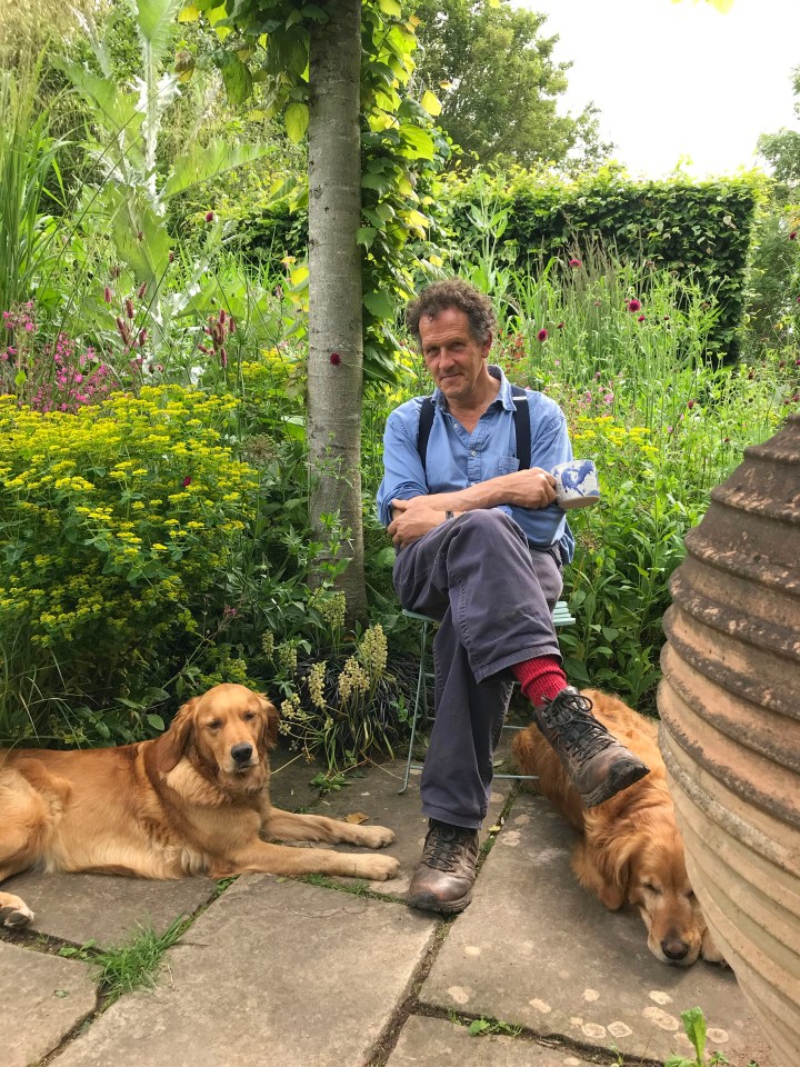 Gardening expert Monty Don has revealed the importance of pruning your garden in the Winter months