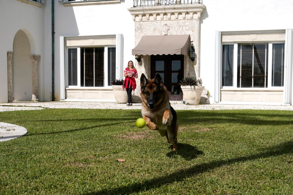 Gunther is well looked after by his caretaker and estate trustee