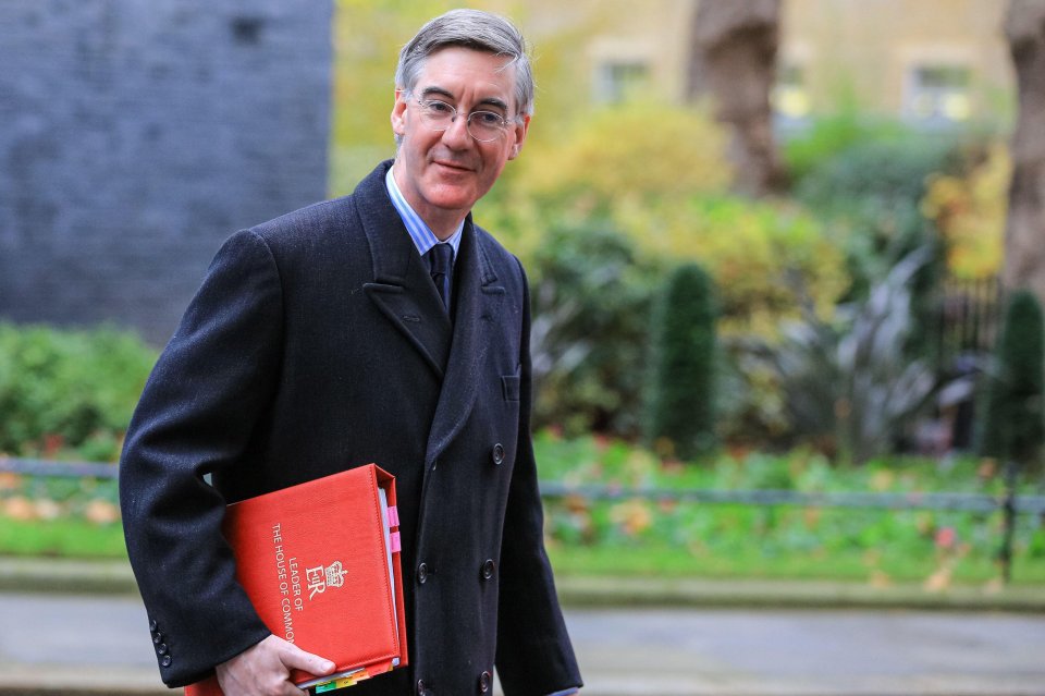 Jacob Rees-Mogg called for the tax rises to be scrapped