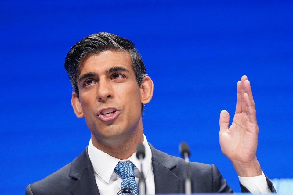 Rishi Sunak said: ‘I understand people’s concern about energy bills’