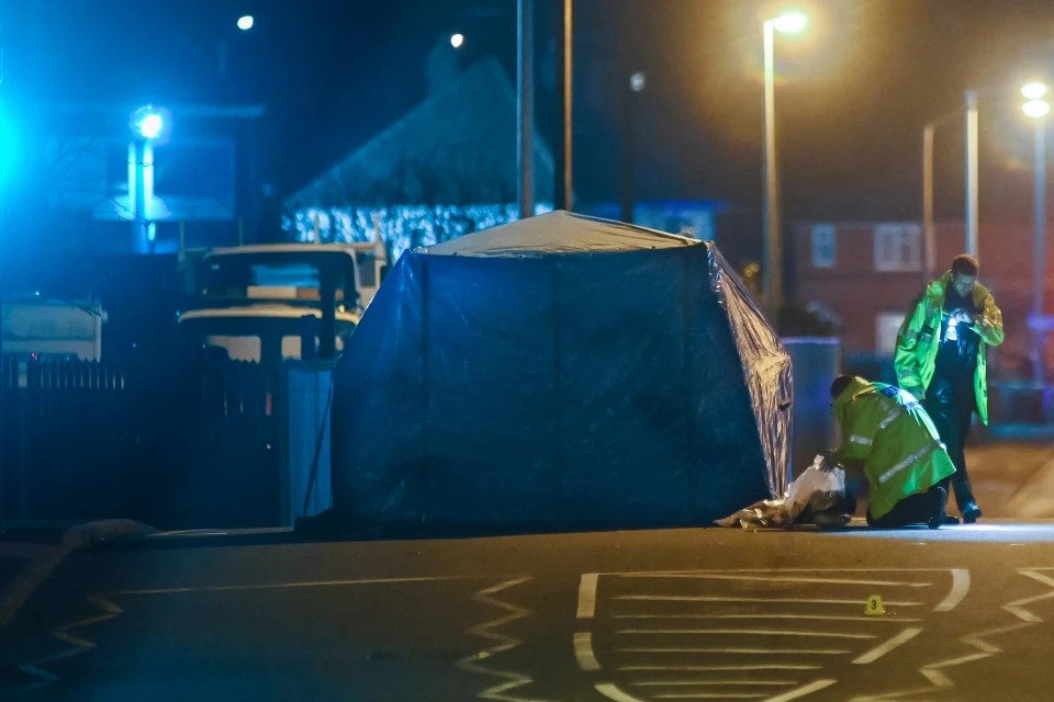 The 14-year-old died after being hit by a car in a New Year’s Eve road collision in Sandwell, West Mids