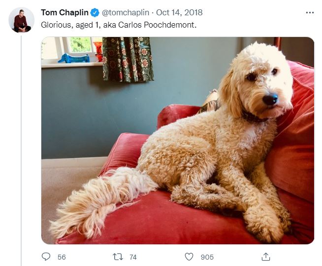 Tom has shared pictures of his dog, Poodle