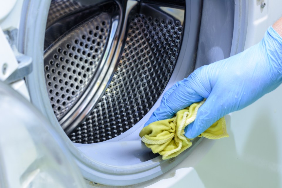 Have you been cleaning out your washing machine all wrong? Check out these tips to find out