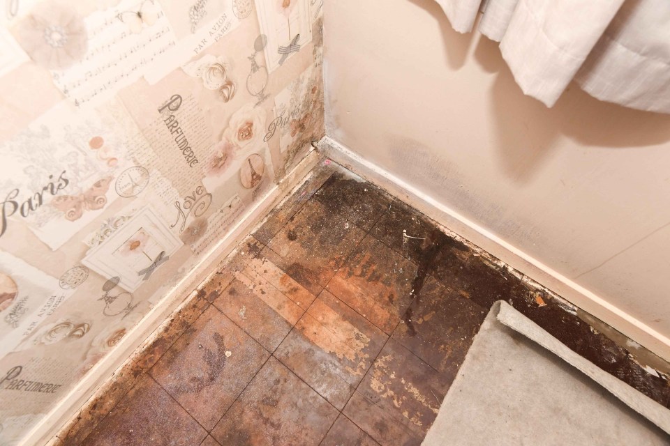 Mould and damp can be found all over the flat, Emma said