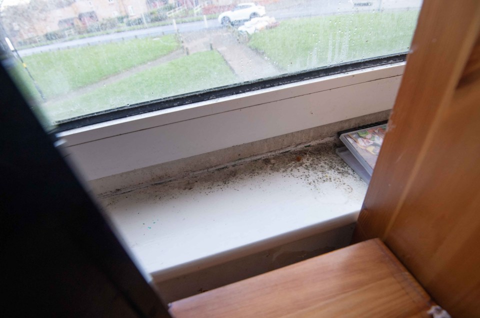 Emma said a dripping window has left a 'big puddle' on her bedroom floor