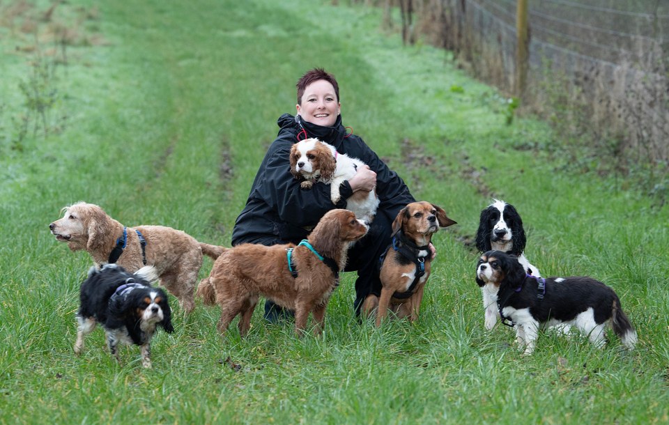 Zoe has almost 50 cats, 17 pooches, various rabbits, guinea pigs and parrots