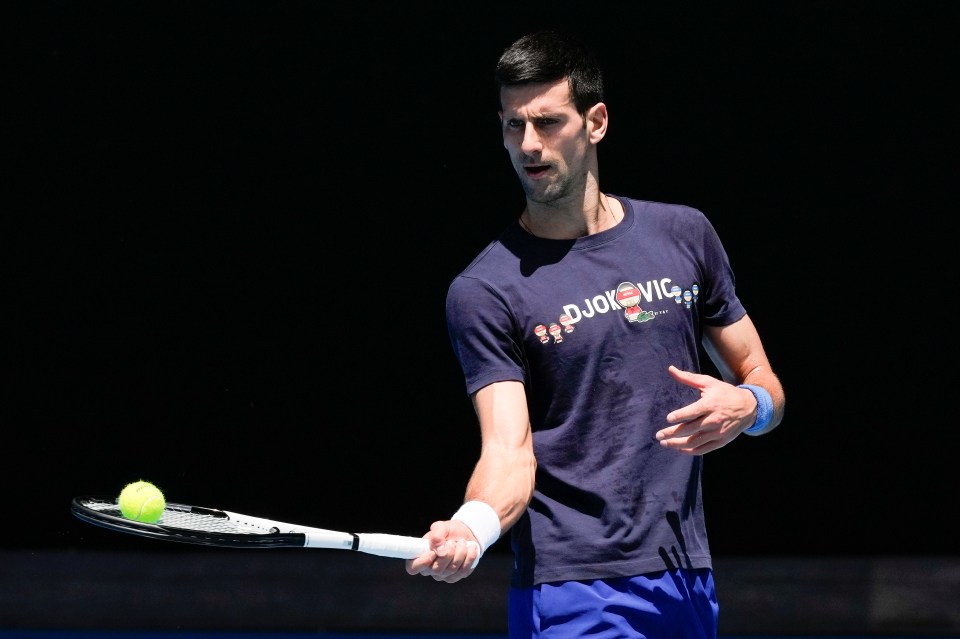 Novak Djokovic pictured at a training session ahead of the Australian Open - he has admitted he broke Covid isolation rules, and incorrectly filled in travel forms to enter Australia