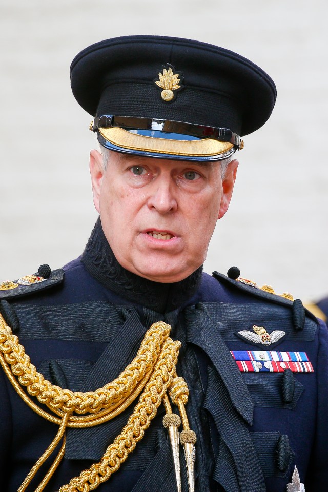 Prince Andrew's Twitter page has mysteriously vanished, viewers of a new documentary on the royal spotted