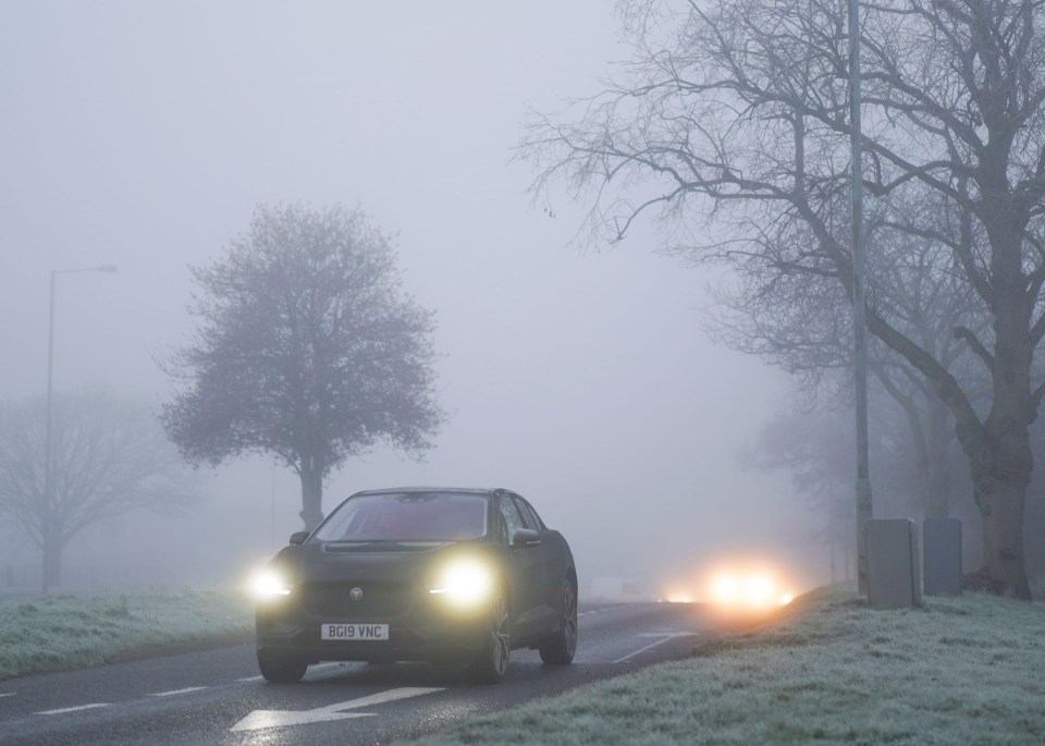 Fog lights are there for the necessity