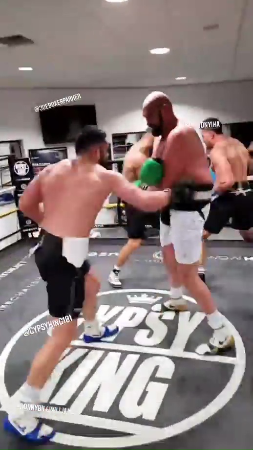 Tyson Fury trading body blows with heavyweight pal Joseph Parker