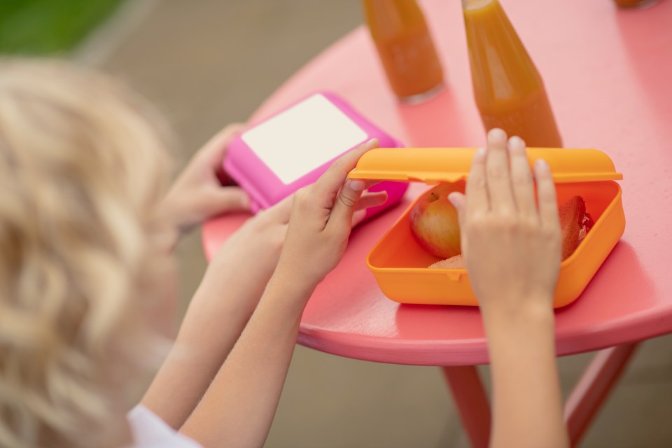 Finding store-bought sandwiches is a telling sign parents are very busy with work according to Sharon