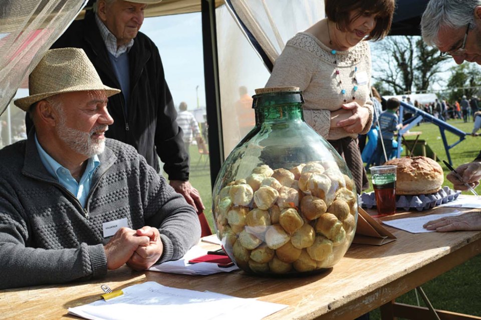 The event involves people tossing the county’s traditional cookies across a field