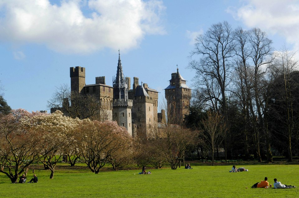 Dr Jenkins was attacked in Bute Park, next to Cardiff Castle