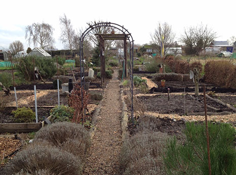 The allotment owners have evicted the couple from the plots